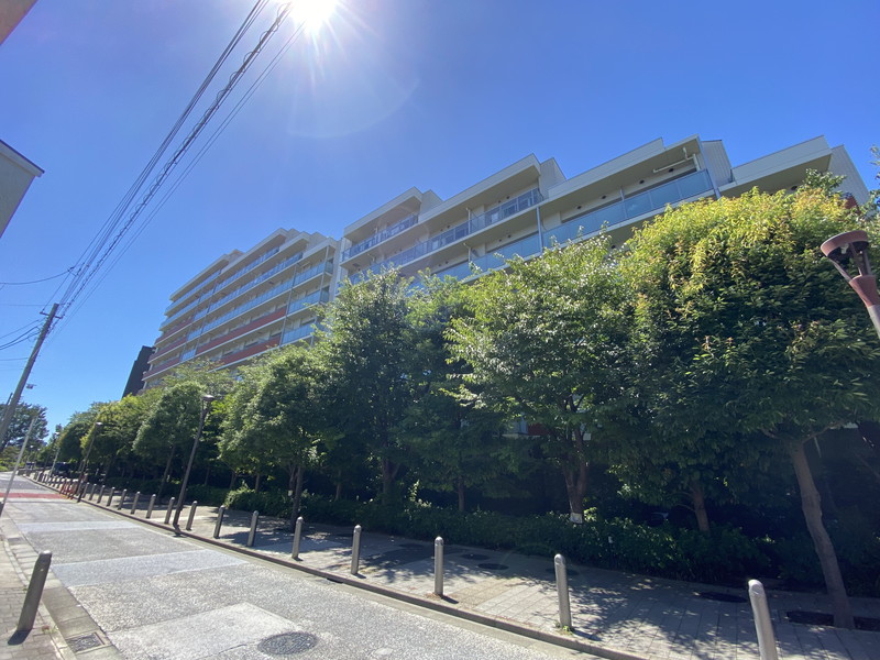 Brillia ist三軒茶屋アイビーテラス308の室内1