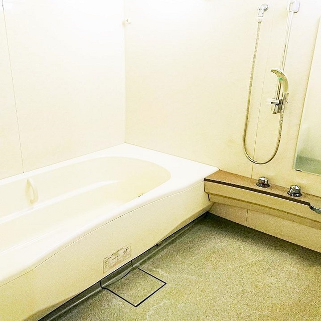 アデニウム武蔵小山5階の室内4