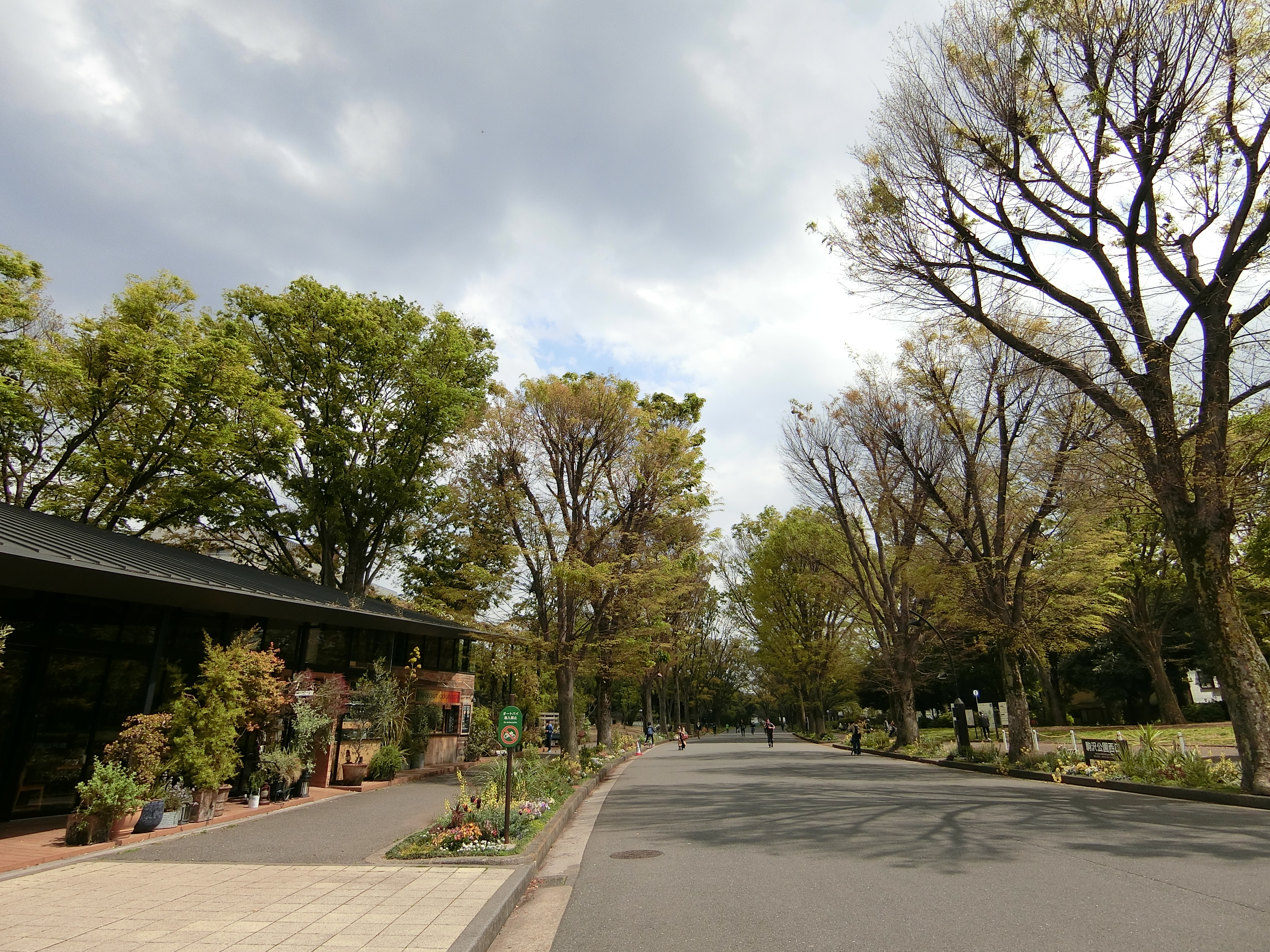 アトラス駒沢大学205の室内6