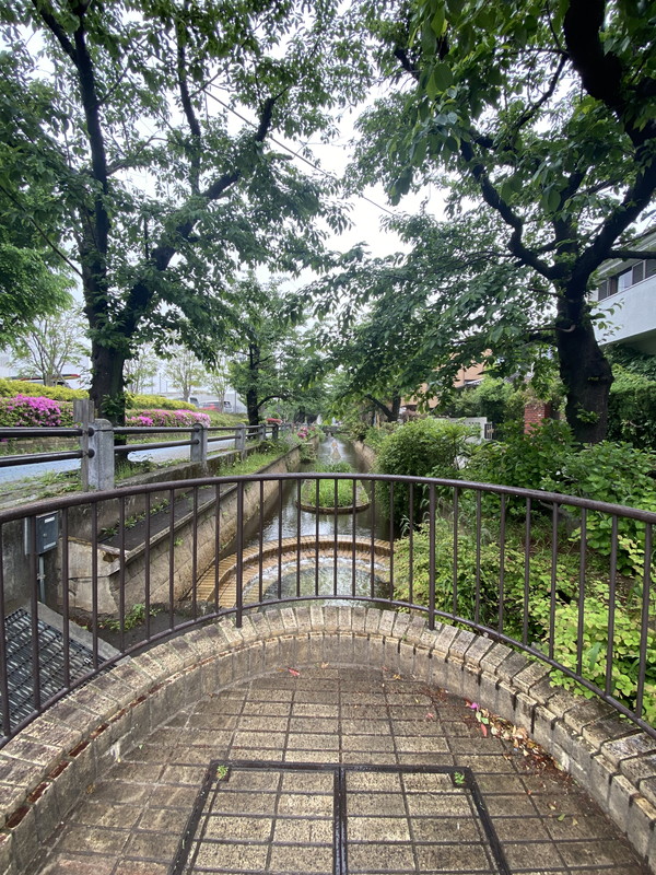 コスモス深沢709の室内10