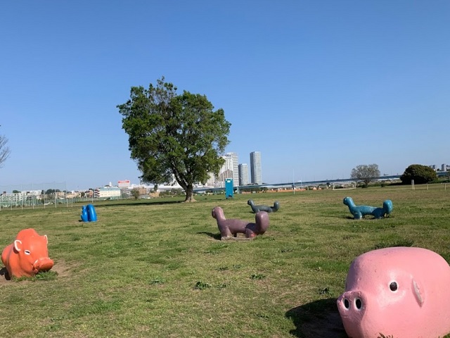 セボン二子玉川園104の室内12