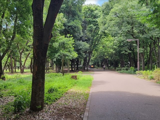 セボン二子玉川園104の室内11