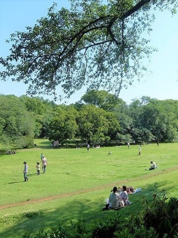 砧公園ヒミコマンション413の室内9