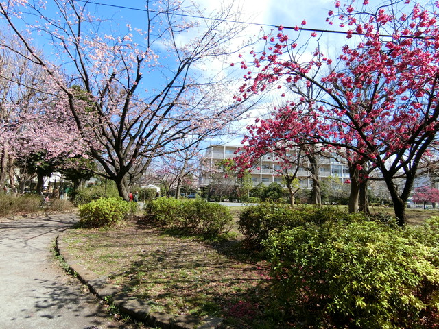 東山1丁目戸建の室内17