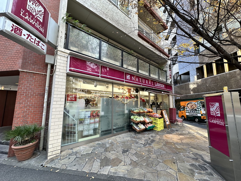 ライオンズマンション目黒青葉台タウンハウス4階の室内10