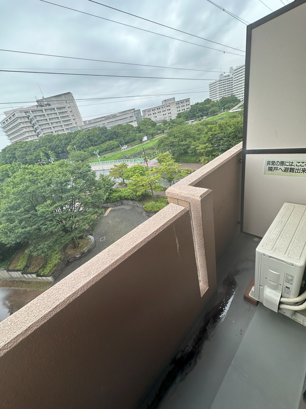 ダイアパレス新横浜駅前公園6階の室内18