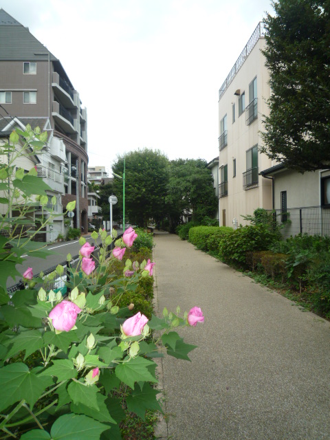 三軒茶屋スカイハイツ504の室内14