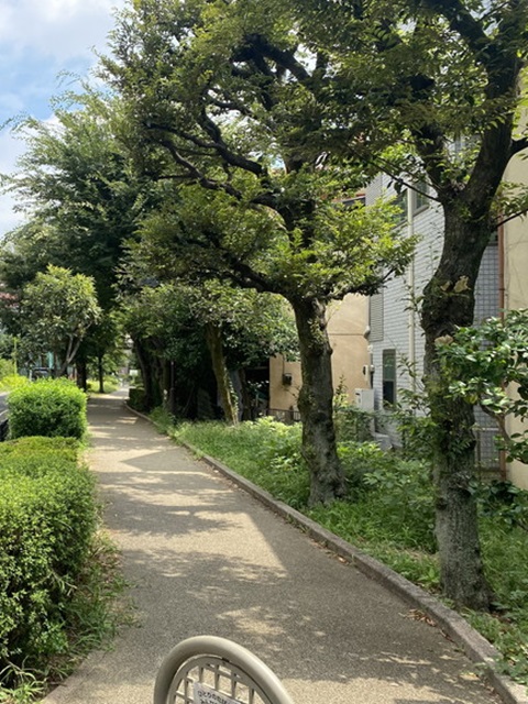 グローリオ三軒茶屋4階の室内14