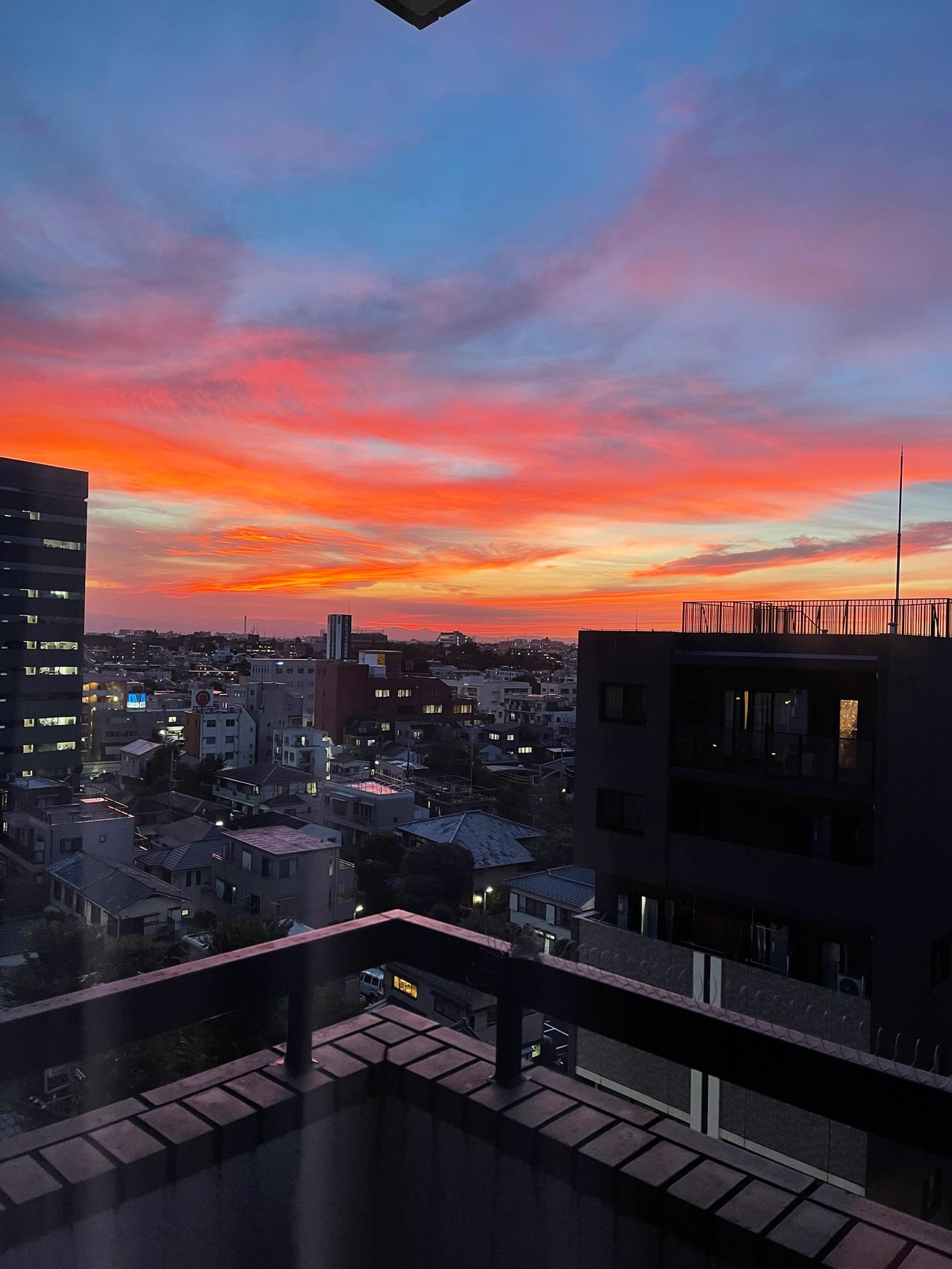 プレステージ三軒茶屋ラフィーネ9階の室内11