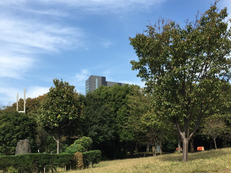 セブンスターマンション東山10階の室内17