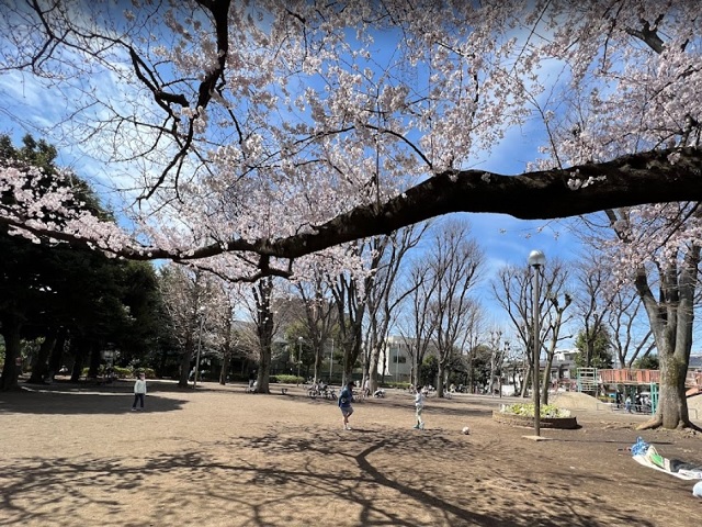 ベルハイム学芸大学102の室内15