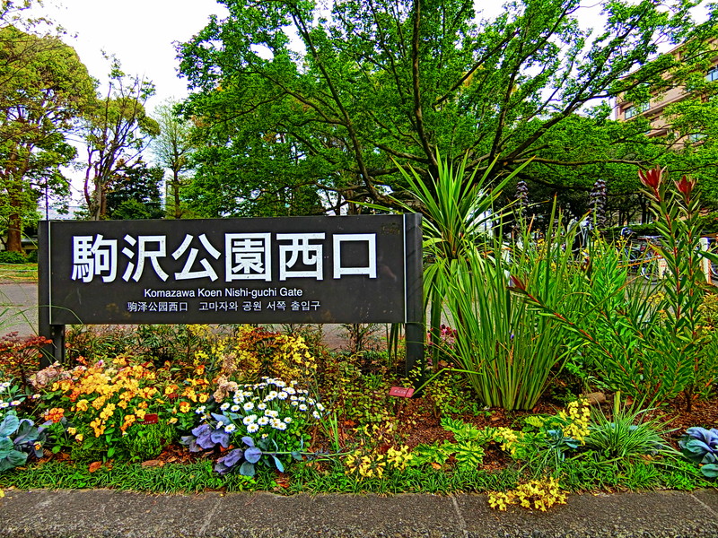 朝日エンブレム八雲台3階の室内18