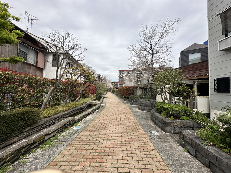 ピアース三軒茶屋レジデンス4階の室内15