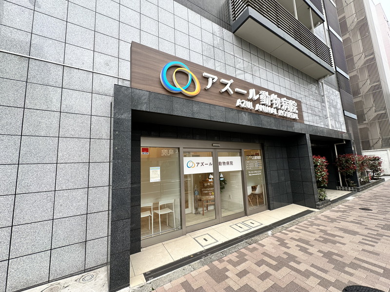 ニュー上馬マンション2階の室内12
