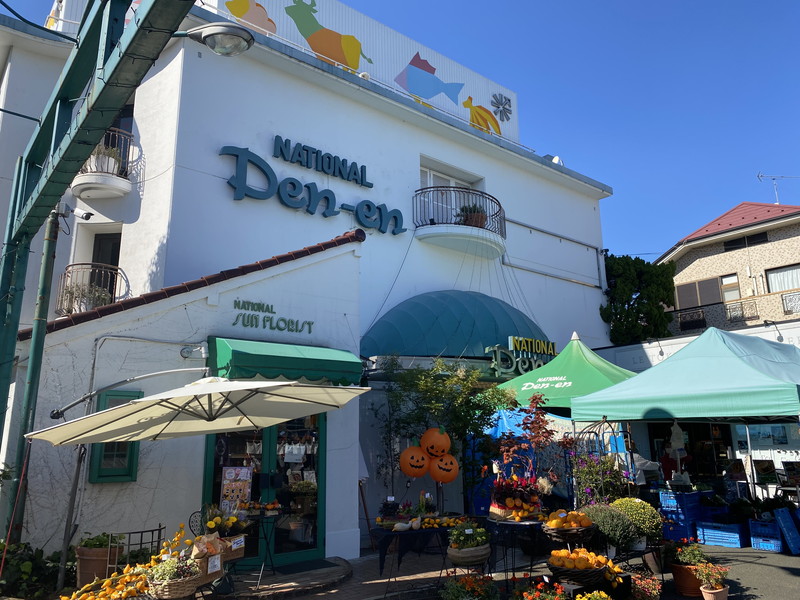 ジェイシティ田園調布4階の室内10