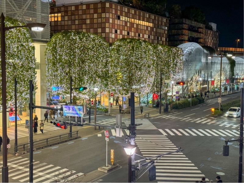 コスモ二子玉川3階の室内6