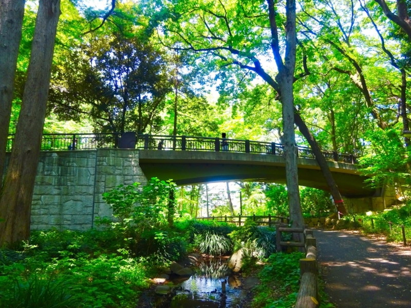 ダイアパレス学芸大学Ⅱ2階の室内10