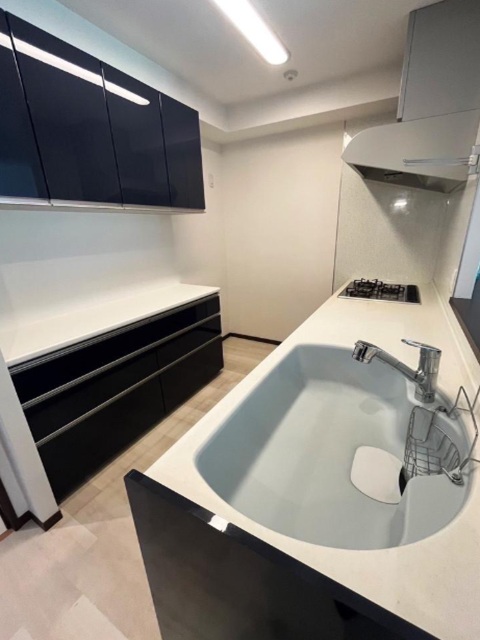 ダイアパレス学芸大学Ⅱ2階の室内5