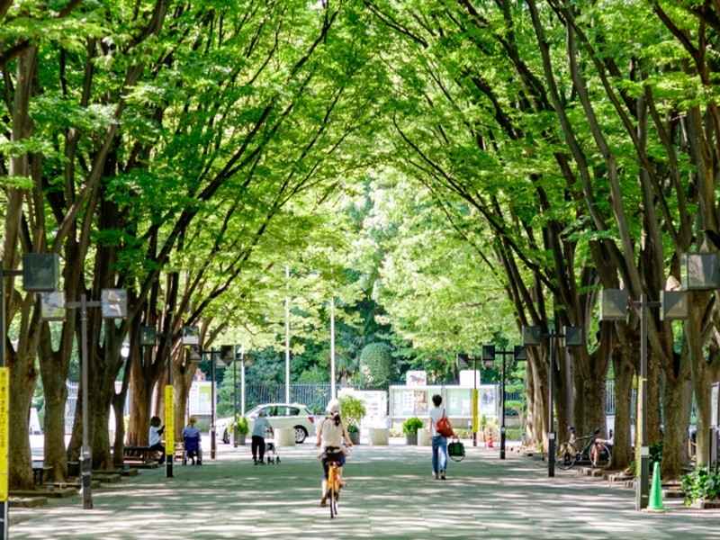 ライオンズマンション砧公園5階の室内14