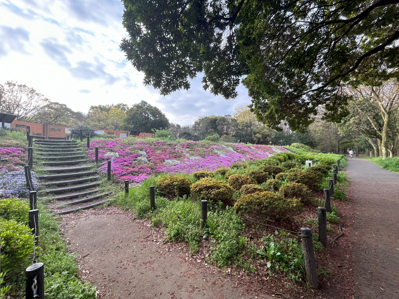 ライオンズマンション砧公園5階の室内11