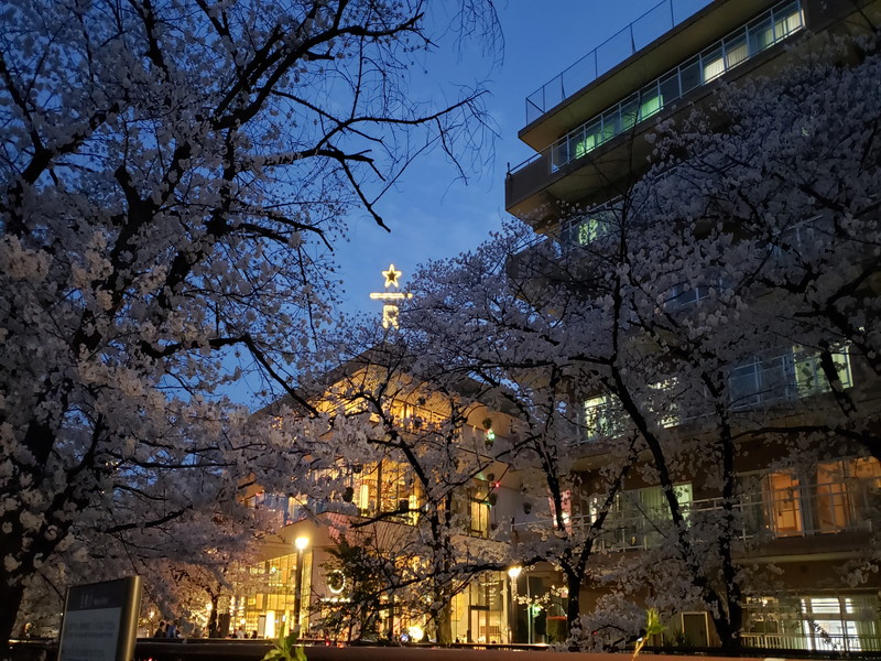 インペリアル青葉台フラット8階の室内17