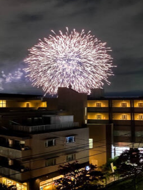 ライオンズマンション二子玉川5階の室内8