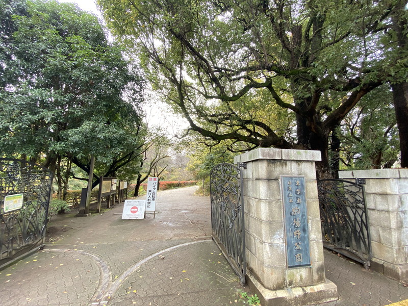 池ノ上グロリアハイツ6階の室内15