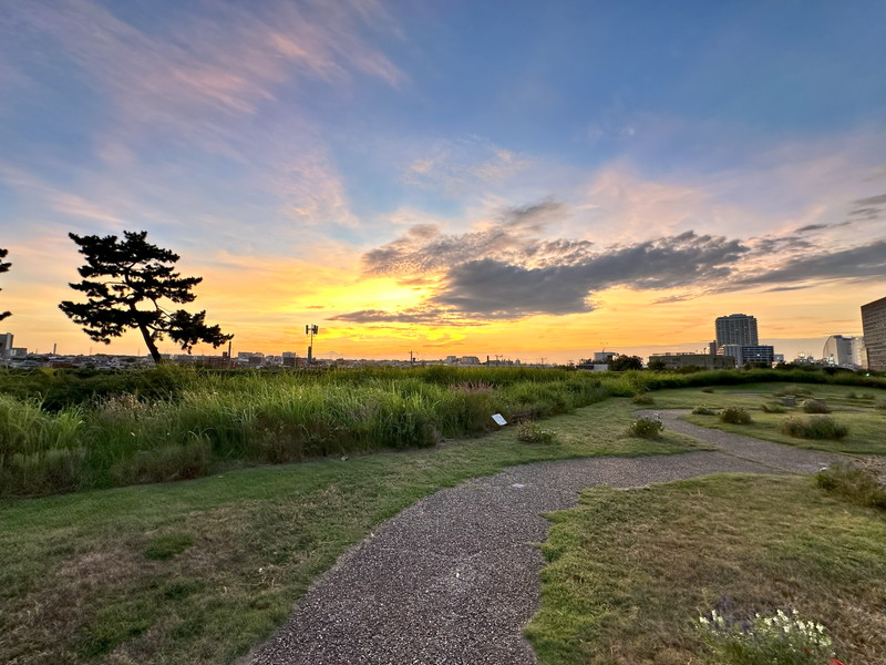 上野毛南パーク・ホームズ3階の室内7