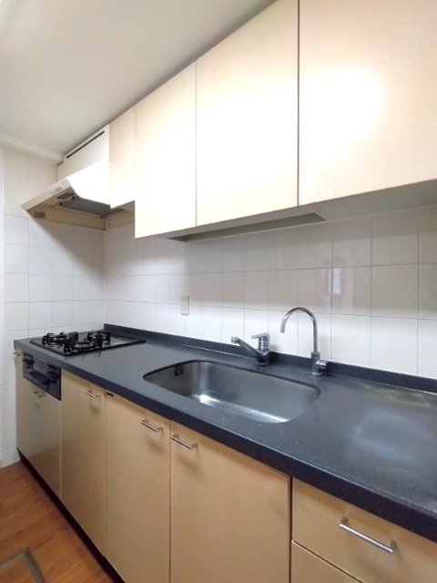 ヒルズ池尻東山公園1階の室内6