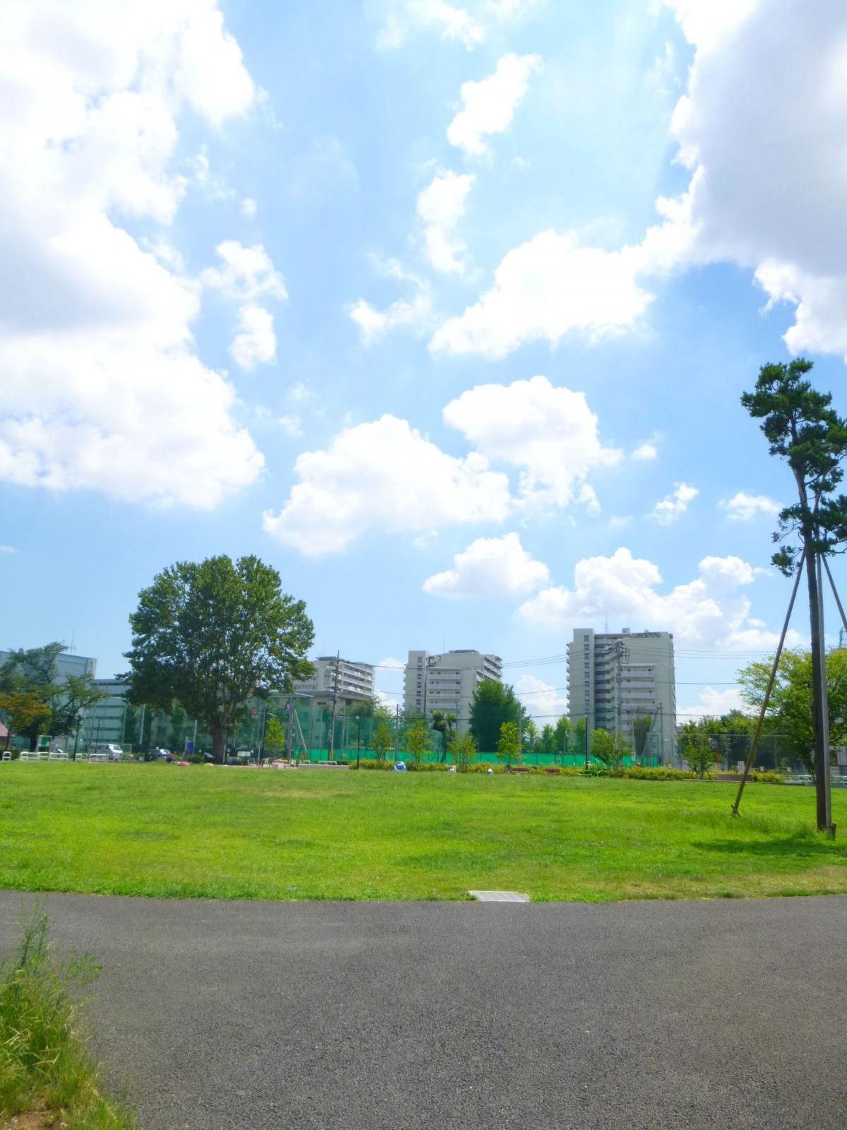 ヒルズ池尻東山公園1階の室内11