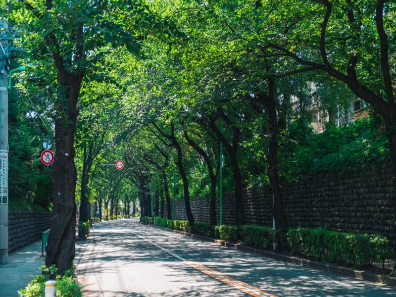パシフィック馬事公苑前2号棟2階の室内12