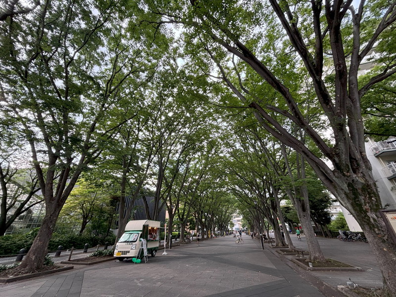 パシフィック馬事公苑前2号棟2階の室内2