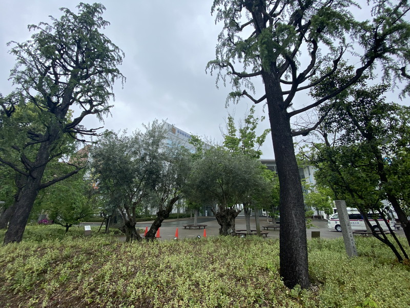 ストークグラン深沢2階の室内12