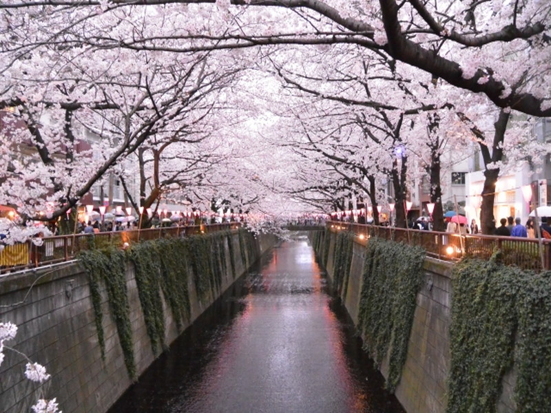 ハイシティ池尻大橋第25階の室内7