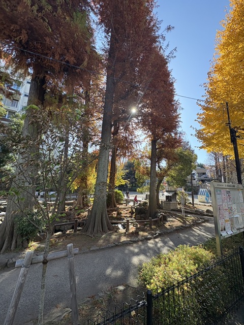 プレシス三軒茶屋4階の室内11