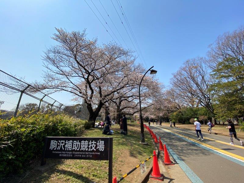 グランドメゾン駒沢7階の室内12