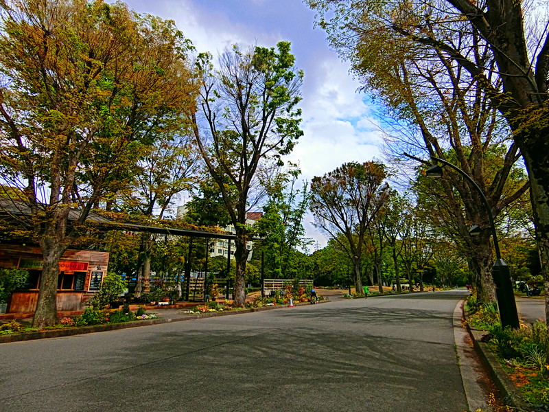 グランドメゾン駒沢7階の室内13