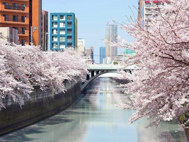ダイアパレスシェルトワレ目黒4階の室内7