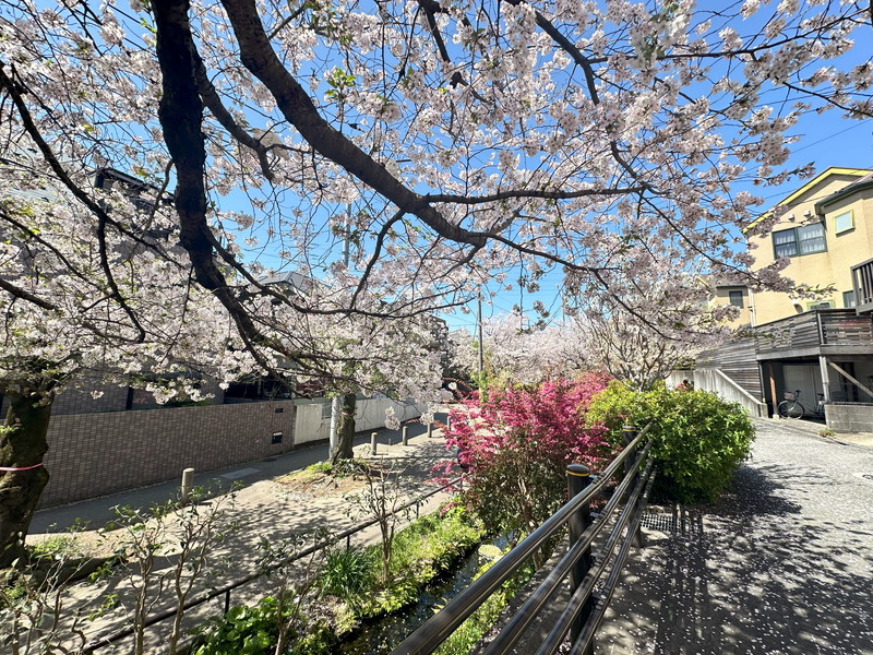 ハイホーム目黒5階の室内14