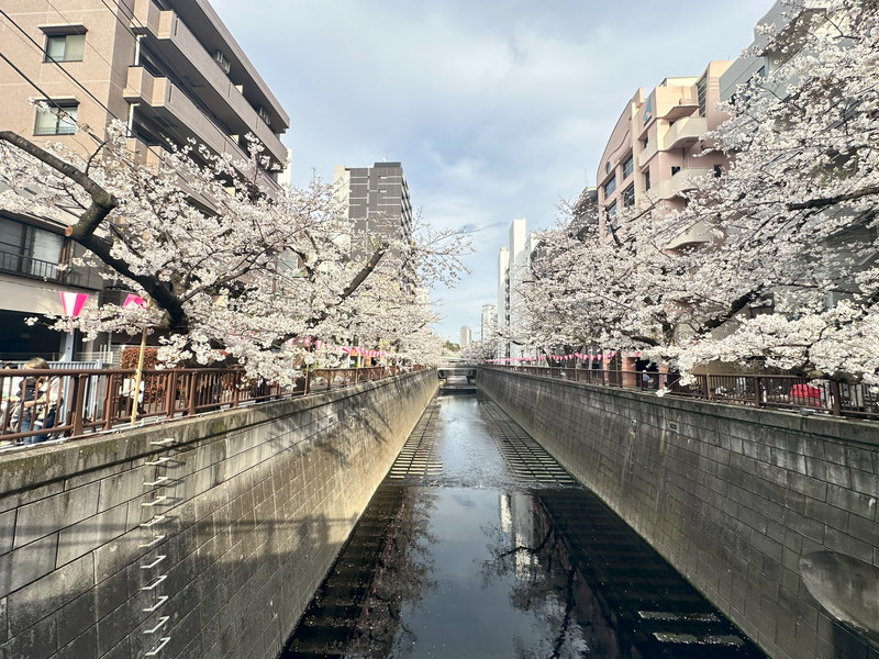 ハイホーム目黒5階の室内15