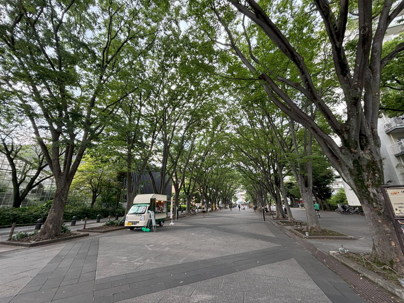 パシフィック馬事公苑前1号館棟2階の室内12