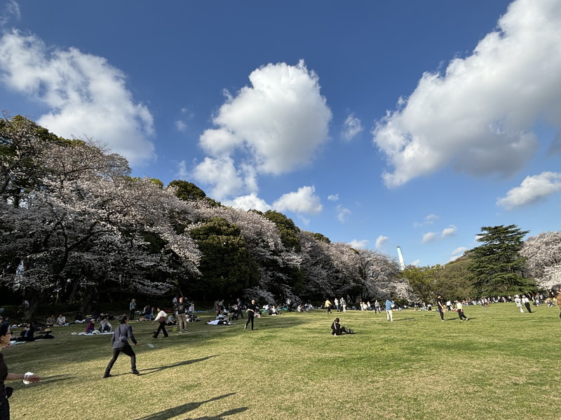 ラコント用賀4階の室内8