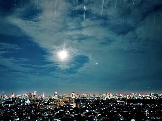 グラーサ駒沢大学13階の室内2