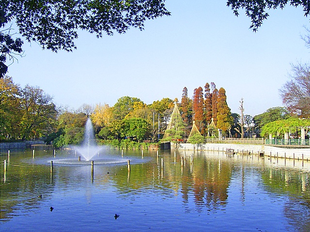 フォルス学芸大学ラクシーズ5階の室内7