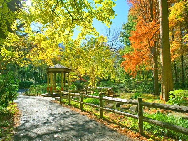 フォルス学芸大学ラクシーズ5階の室内8