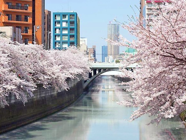 ハイシティ目黒7階の室内10