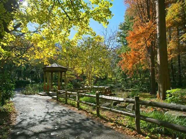 ハイシティ目黒7階の室内9