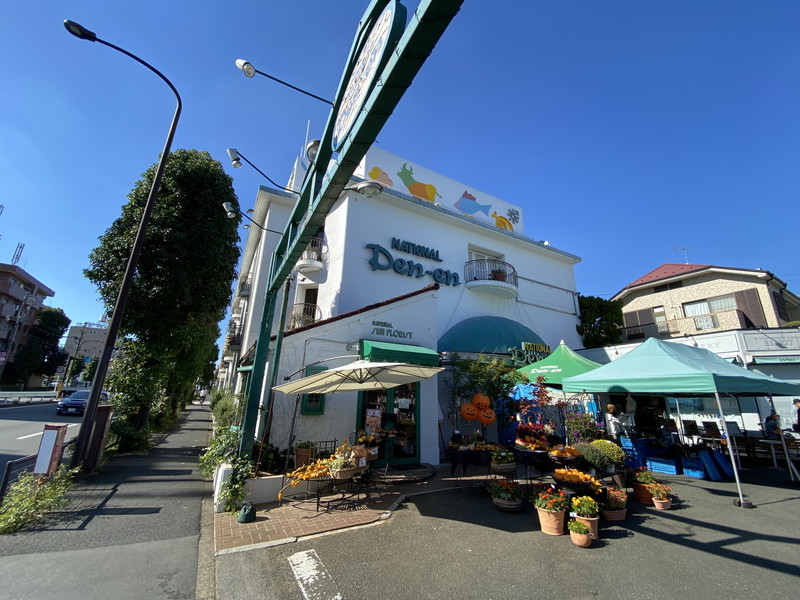 ハイネス尾山台3階の室内12