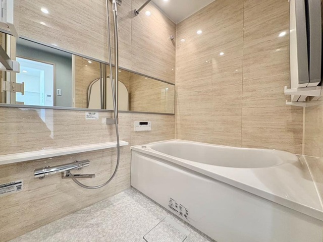 マイキャッスル二子玉川園5階の室内9