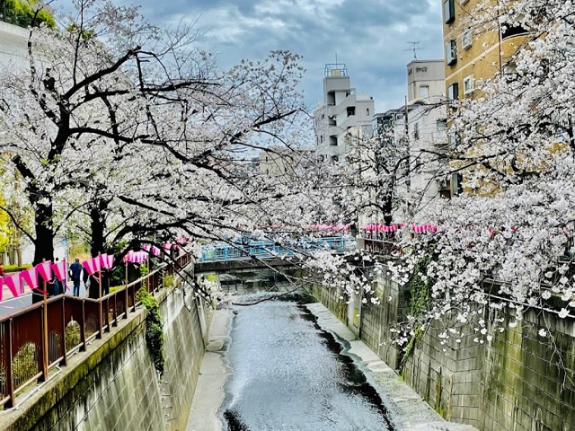 ゾンネンハイム大橋3階の室内18
